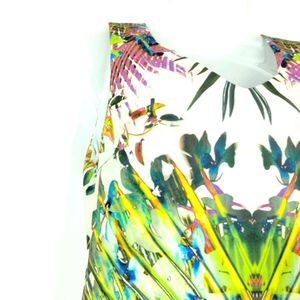 Multicolour Printed Sleeveless Dress (Women)