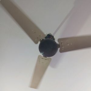 1200 Mm Ceiling Fans Brown Cream Colour