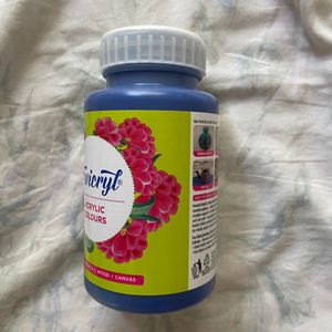 Fevicryl Acrylic Paint