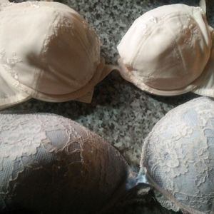 5  Padded Bra Designer All Look Different