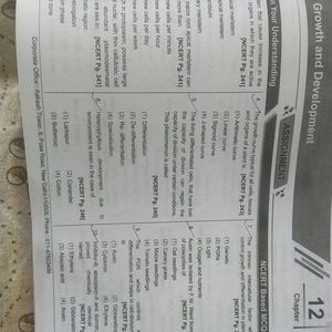 Ncert Maps Are Great Revision Material