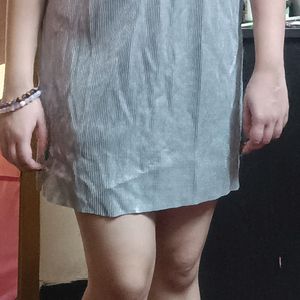 Bright Silver Skirt