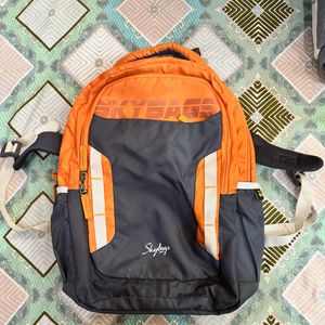 Grey Orange Skybags Bagpack