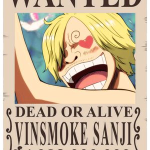 Pack Of 20 Wanted One Piece Anime Poster