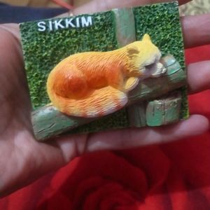 Beautiful Sikkim Fridge Magnet New