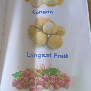 A to Z Fruit Pictionary Book