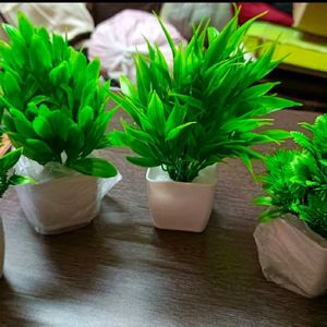 Artificial Plant 4 Piece