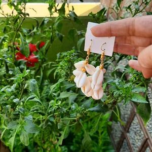 Beautiful Shell Earings