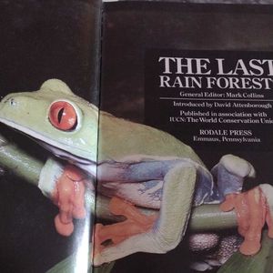 The Last Rain Forests