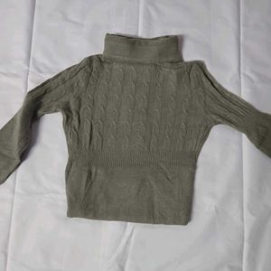 Turtle Neck Woolen Top