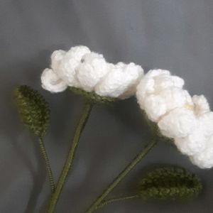 Crochet Large Daisy Flowers