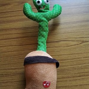 Cactus Shaped Plant For Kids To Play