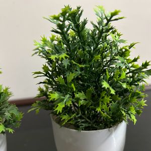 Artificial Plant