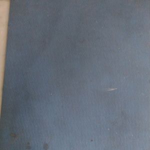 Blue Colored Yoga Mat