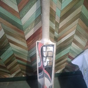 SS Cricket Bat