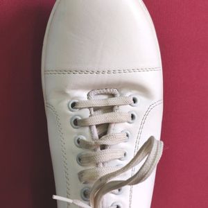 White Sneakers | Uk 9 (27 cm)