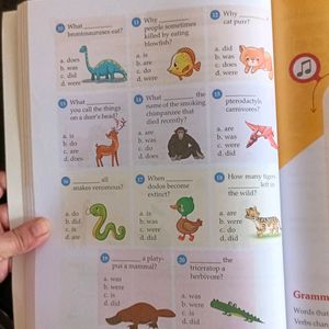 English Learning Book