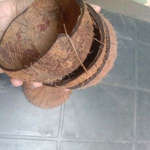 10 Coconut Shell