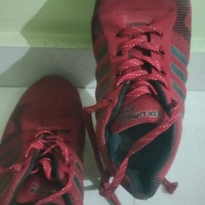 Sports Shoes