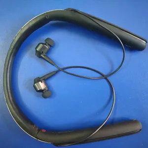 Rare Sony Flagship Headset