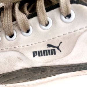 Real Puma White Converse