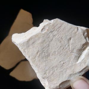 Multani Mitti