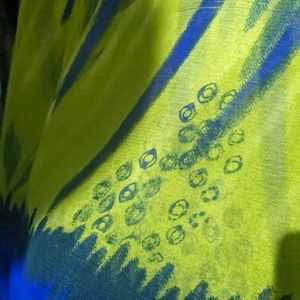 Green And Blue Multicolour Saree