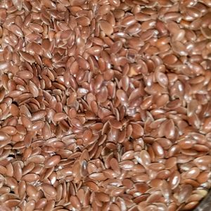 Flax Seeds