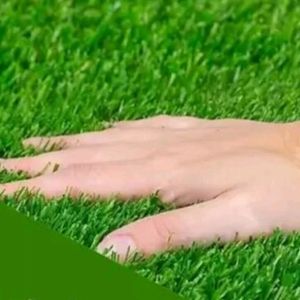 Grass Green 2 Doormat