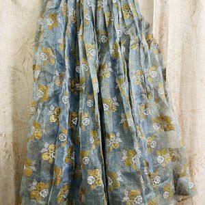 Gray Organza Long Skirt