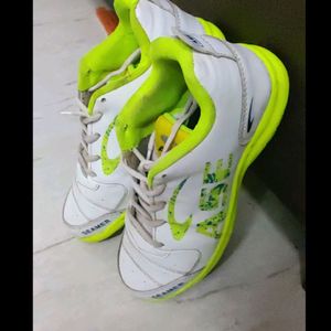 Criket Shoe ASE Green colour!