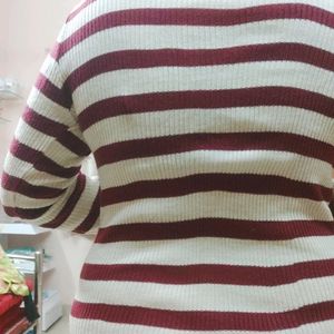 Turtle High neck Striped Sweater