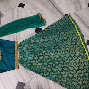 Dark Sea Green Color Top And Skirt