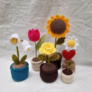 Crochet Pots