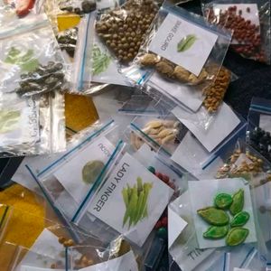 45 Types Of Vegetables Seeds