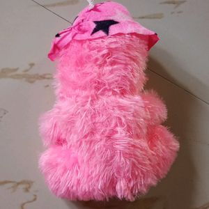 Pink Teddy With Heart