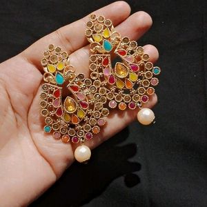 Beautiful Multicoloured Party wear Earring