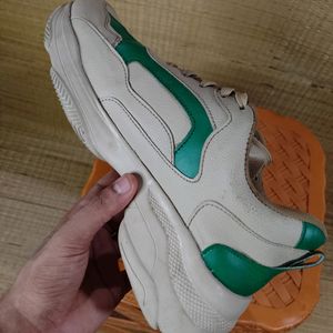 Men Colour Blocked Sneaker Beige & Green