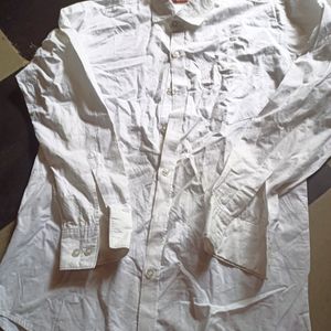 Men's Shirts