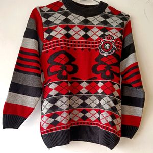 Big Price Drop!!!Sweater For Boys