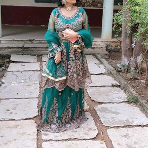 Green Ethnic Gown New 🌲