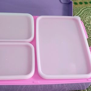 Tiffin Box