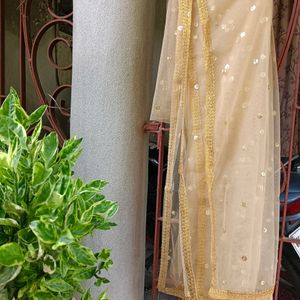 Branded New Gold Toned Embroidered Dupatta💛💛💛