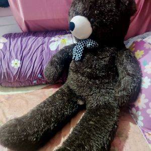 Brand New Teddy Bear