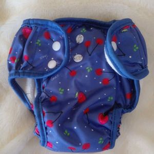 Cloth Diapers With Pad For 3 - 6 Months.