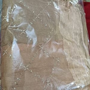 Beautiful Beige Saree NWOT