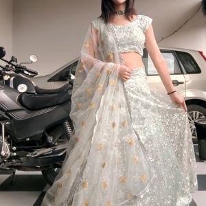 Shinning Lehenga Choli