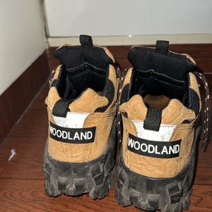 Woodland High Top Sneakers 🧨