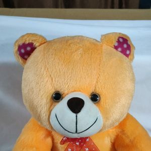 New Teddy For Kids