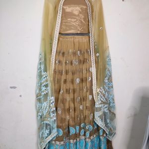 Lehenga/blouse and dupatta